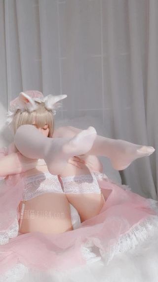 白月梵星电视剧免费观看全集