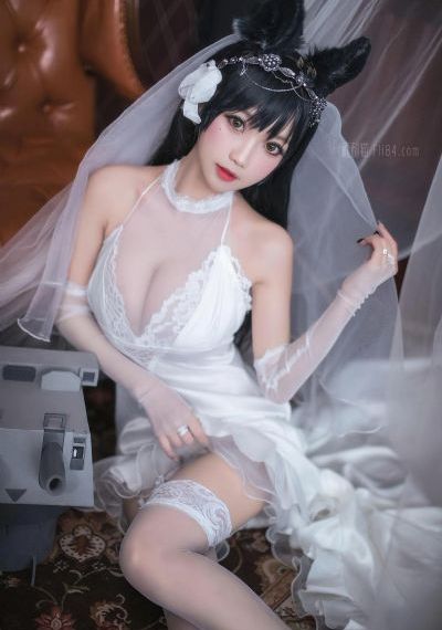 最新电视剧2024热播最火剧免费观看