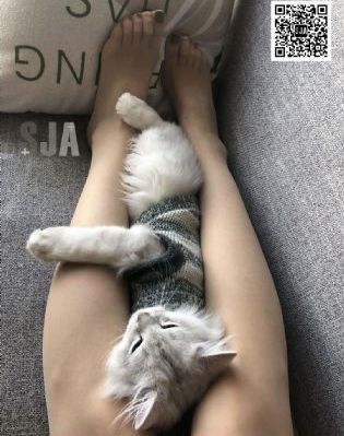 师生畸恋
