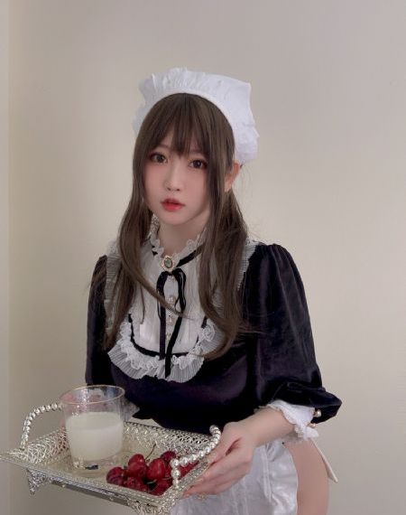 百兽战队粤语
