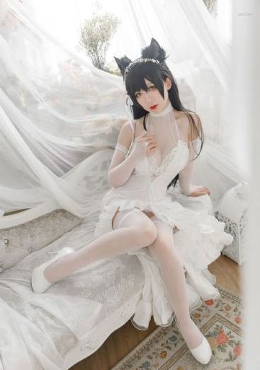 老有所依演员表