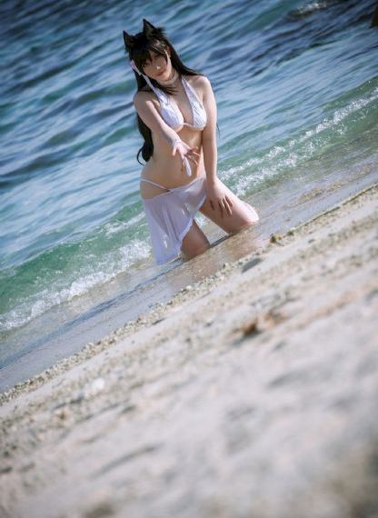 浪漫樱花免费播放高清版下载